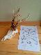 Taty rogacz ju� po wycnie medalowej - 111,58 pkt i jest mocny br�z! Darz B�r!