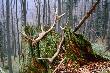 13.04.2014r. Wsp�lne zdj�cie  dzisiejszych moich zbior�w:)