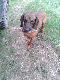 �cie�ka u�o�ona 5 godz wcze�niej 