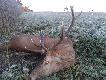 dziesiatak 6 lat .Kot�w 04.10.2013 r
