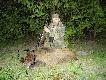 Solo with saxophone .....Mia�em co� tu jeszcze dopisa� ale mo�e nie tym razem .... 