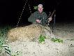 Przelatek strzelony na zasiewach kukurydzy,amo Geco plus 308 11g...DB...