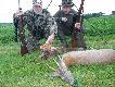 Pierszy lisek Taty prawie w dniu  65 urodzin, i  2 m�j  rogacz w tym sezonie...DB..