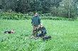 Dublet do jenot�w jaki� czas temu