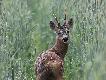24-05-2014 G�ra