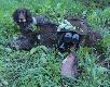 ... w pe�nym s�o�cu wyszed� na �r�dle�n� ��ke...