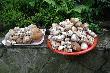 30.06.2014r.  Pierwszy z wi�kszych wysyp�w w tym roku 