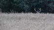 14.07.2014 ju� wytarty 