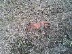 Lis nr 4 12-04-2014r.