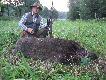 od pewnego czasu preferuj� poranne polowania ,wi�cej zwierza widuje ni� na wieczornych zasiadkach....ale trzeba wsta� o 2-ej w nocy:-) 23.07.2014 godz.4:17 wycinek strzelony w �owisku Wajsznury .Darz B�R.