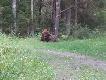 Nie mo�na przej�� oboj�tnie przy �ubrze. A na �ubra ka�da pora jest dobra, szczeg�lni w takie temperatury jak panowa�y w ten weekend. 