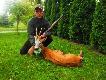 6 rogacz w sezonie 5 w go�ciach .