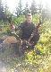 M�j pierwszy byk, zwabiony, strzelony w dniu wczorajszym o �wicie.Wiek 9 lat.