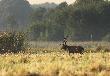 06-09-2014 Jeszcze si� rozkr�ca