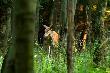 Wygl�da na taka zm�czon� :-)D.B