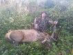Rykowiskowy byk Taty . Waga tuszy 165 kg waga wie�ca ok 6 kg . Darz b�r koledzy . �pieszczcie si� bo poma�u ju� cichnie ....