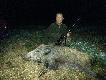 A to jeden z tych kt�rych rano nie zasta�em,ale uda�o si� to zrobi� tego samego dnia wieczorem o 22:00 60 kg strza� troch� na kulawy sztych i kula wyci�gn�a jelito i nie by�o za wiele farby reszt� musia� zrobi� pies i moja si�a mi�ni �eby go wyci�gn�� z m�odnika, w tym tygodni �w.Hubert mi podarzy�. 