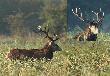 Inne uj�cia superbysia.  Tak �ebym wiedzia� kt�re zrzuty podnosi� :-))