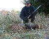 Koza strzelona w mro�ny poranek