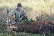 jele� byk pozyskany podczas rannego wyj�cia do �owiska 232 dnia 25.08.2014. Waga tuszy na skupie 140 kg. byk w 3 klasie wieku 12 lat. waga wie�ca po spreparowaniu 7 kg.