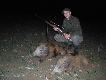 21.10.2014r. Wracaj�c do samochodu postanowi�em sprawdzi� jeszcze jedno miejsce i jak wida� by�o warto. Spostrzeg�em 2 lochy  z warchalkami i zacz��em podch�d. Widoczno�c by�a ju� mocno ograniczona, ale po podej�ciu na oko�o 80 m w lunecie uda�o si� wymierzy� i skutecznie strzeli�. Darz B�r!