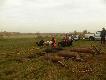Podk�ada�a z nami Marta z super Wachtlem Marlo