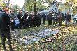 Pokot polowania hubertowskiego.
Dwadzie�cia szarak�w tylko dziewi�� kogut�w (13 strzelb)