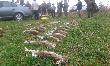 Pokot drugiego polowania zbiorowego.
Bestwinka 15 listopad 2014 rok.
Siedemna�cie zaj�cy i dziesi�� ba�ant�w