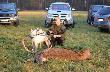 w takim sk�adzie wspaniale jest polowa�