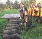 Pokot z polowania zbiorowego w K�-G�uszec �widnica 23.11.2014r (9 dziczk�w). Oj �w.Hubert darzy�.