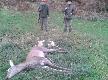 Wis�a �abaj�w. Prowadz�cy bracia Pawe� i Marek.