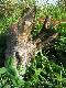 Wid�ak. Chyba odmro�ony. 3 lata