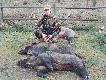 2 dziki waga 61, 50 kg,21-12-2014r.