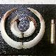 18 cm szable z dzika 70 kg. Darz B�r koledzy