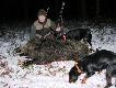 -4- dzik w sezonie. Wycinek strzelony 08.01.15. Szabelki po 14 cm. Po strzale komorowym uszed� 30m. Pierwsza praca m�odego Tiago (6,5miesi�ca) na naturalnej farbie. Dzi�kuj� �w. Hubercie. Darz B�r. 