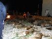 Siedlce 1 dzie� z Jarkiem i piechami