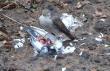 Dzi� pod moim domem