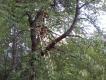 Pierwsza wysiadka :) 