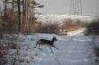 przedstawiciel m�odszego pokolenia