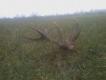 ...i zn�w kumpel by� szybszy:-) 12-tak 2,80 kg