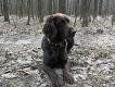 Jak pan ka�e to trzeba warowa�