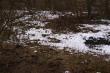 25,02,15r.Wracaj�c do domu przez drog� przesz�o mi 14 byk�w i jeden by� z lew� tyk�,poszed�em w miejsce gdzie przechodzi�y i okaza�o si� �e zrzuci� bli�ej ni� mi si� wydawa�o.10-tak tylko 1,9kg