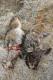 24.02.15 taka parka troszke nietypowa mnie odwiedzi�a