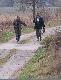 Troch� z �ycia w K� Antylopa
Przy r�nych okazjach ...