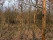 Fotki dla mieszczuch�w