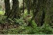 U podn�a