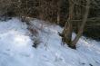 24.03.2015r. Tak go zobaczy�em