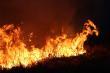 Wzywa�em Stra� Po�arn�. Pali�o si� par� metr�w od trzcin a w trzcinach zapewne pasiaki.