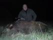 Odyniec wieczorow� por�