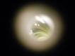 Zbada�em wszystkie swoje lufy wziernikiem. Niestety m�j aparat fotograficzny kiepsko to widzi, g��bia ostro�ci to tylko 2-3 milimetry.. Na tym zdj�ciu wida� t� sam� luf� gwintowan�, w �rodku jej dlugo�ci. Kraw�dzie p�l nadal ostre, ani �ladu rdzy czy osad�w. ��tawy poblask to mikronowy nalot mosi�dzu z p�aszczy pociskow, rozsmarowany dok�adnie po ca�ej jej powierzchni.